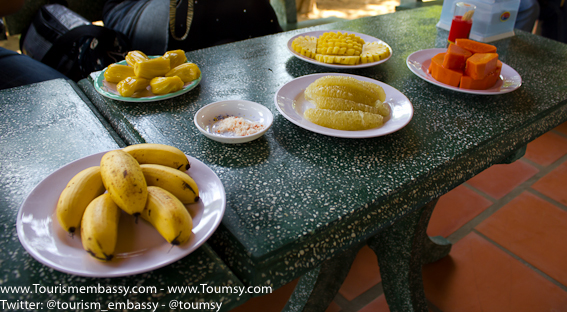 Mekong Delta tour Tropical fruit